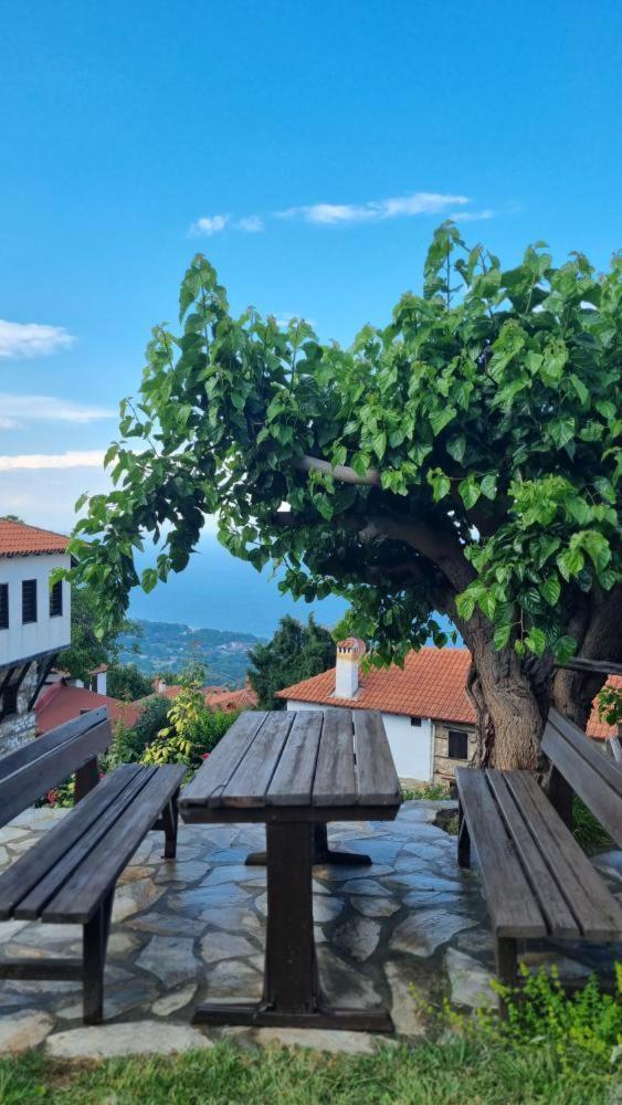 Guesthouse Eleni Palaios Panteleimonas Exteriör bild